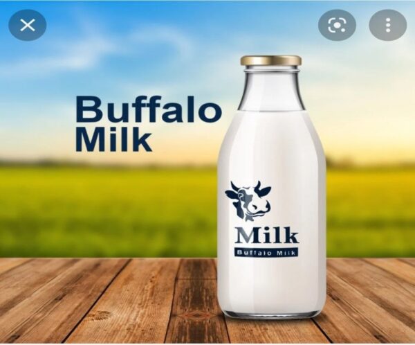 Buffalo Milk 1000ml